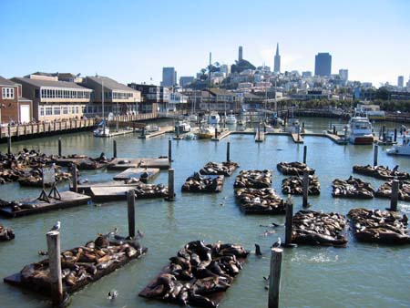 San Fran 154